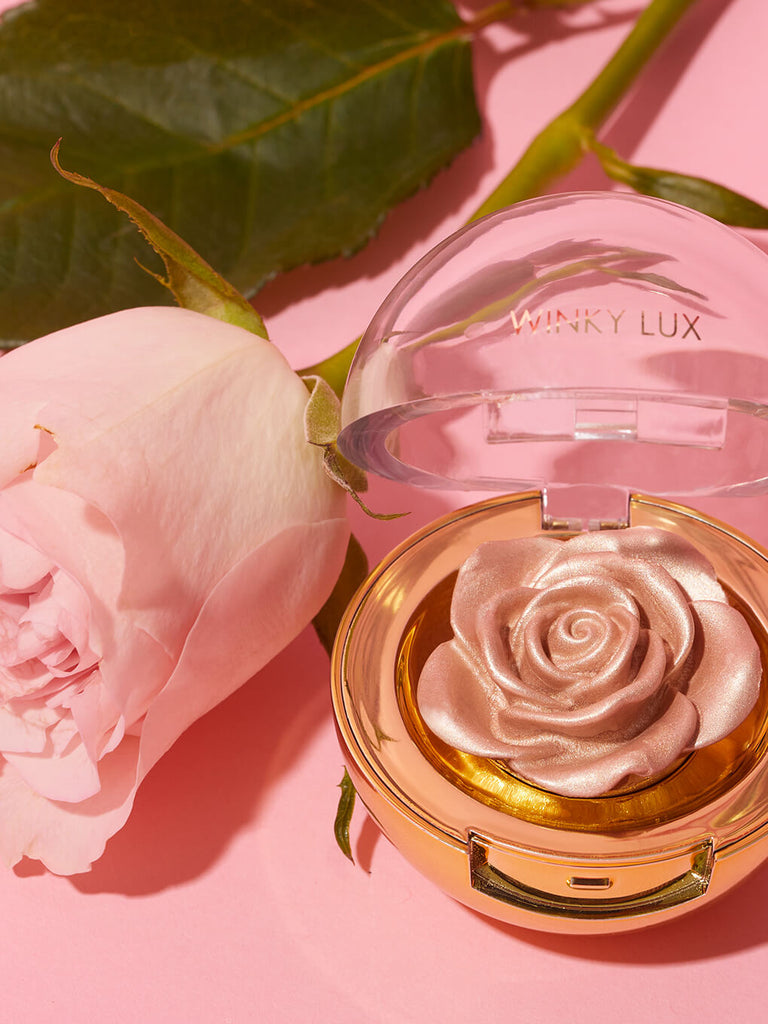 Champagne -- Cheeky rose Cream highlighter on pink background next to pink rose
